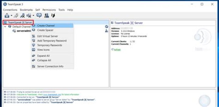 How do I host a VPS server on TeamSpeak 3