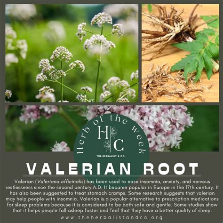 Is Valerian plant poisonous