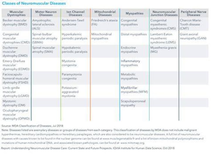 What are the different types of neuromuscular diseases