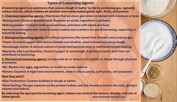 What is a leavening agent give examples of each