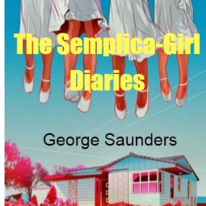 What is the Semplica girl diaries about
