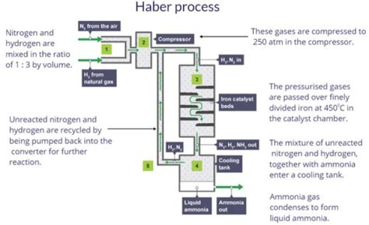 Which catalyst is used in the Haber process for making ammonia